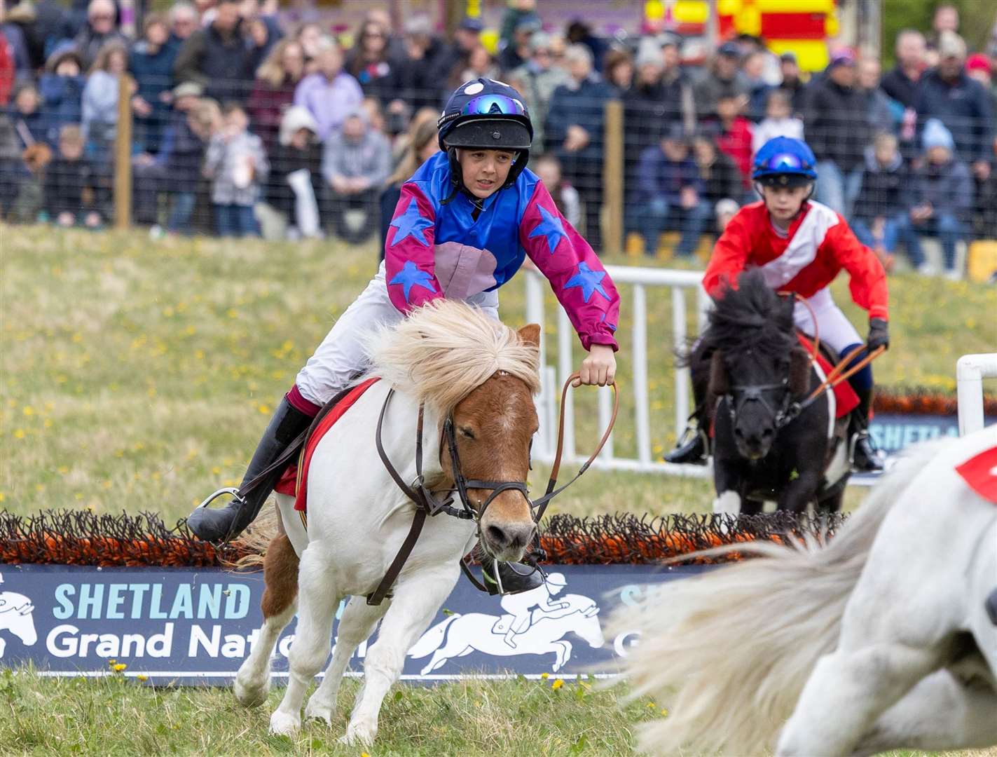Lambourn Open Day - ARC Shetland Grand National