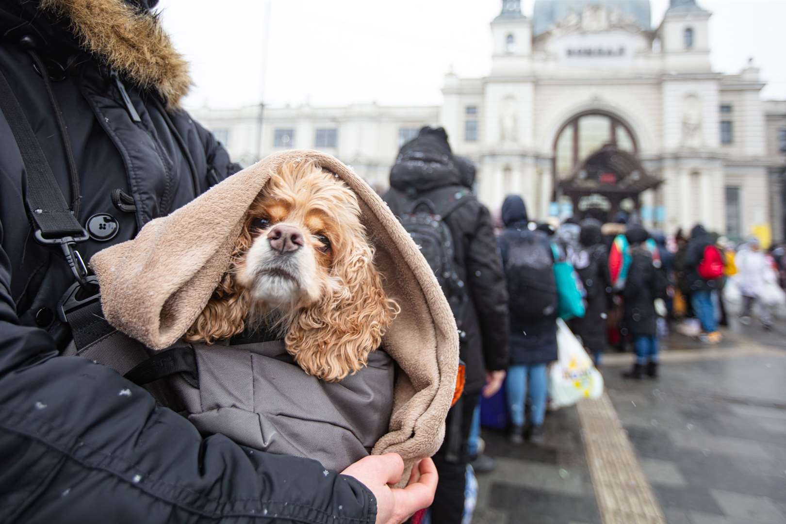 Ukrainians at Lviv railway station waiting for train to Europe