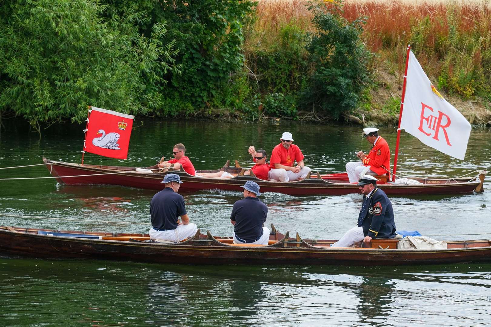 Swan Upping skiffs arrive in Purley