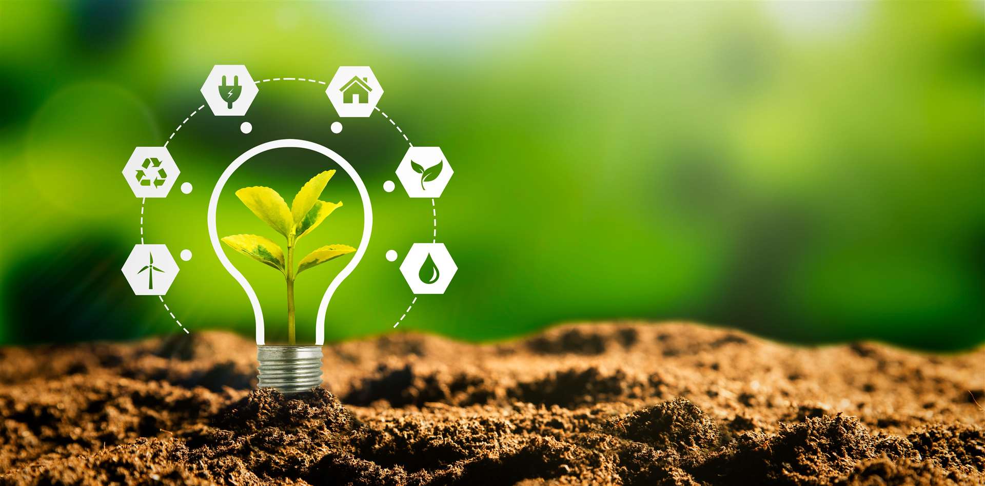 Get expert tips on reducing your energy bills