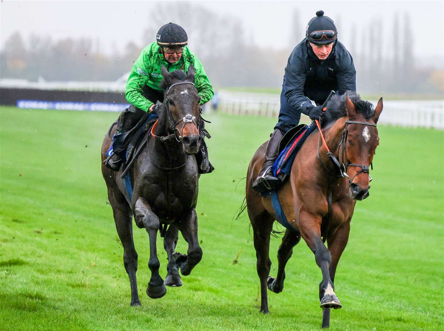 Sir Gino (left) and Constitution Hill at Newbury