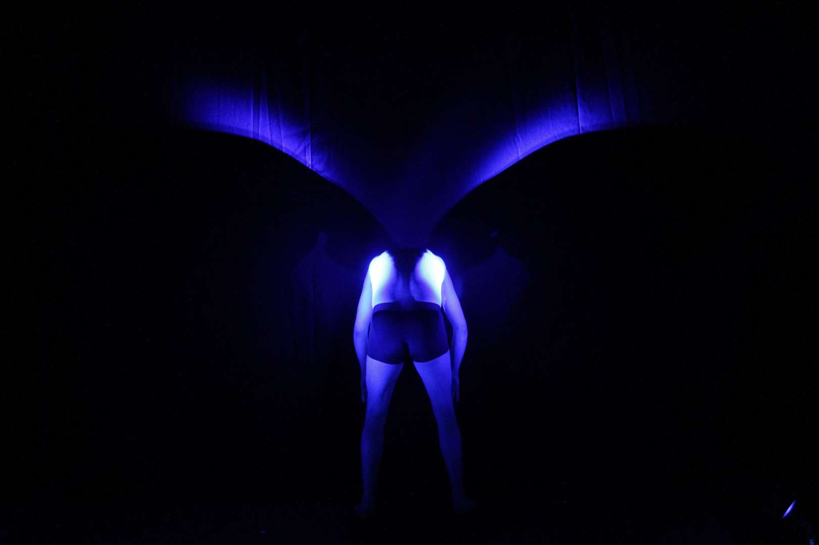 The Endling