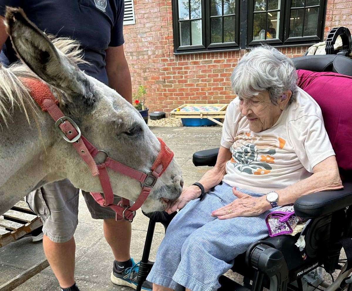 Why the long face?