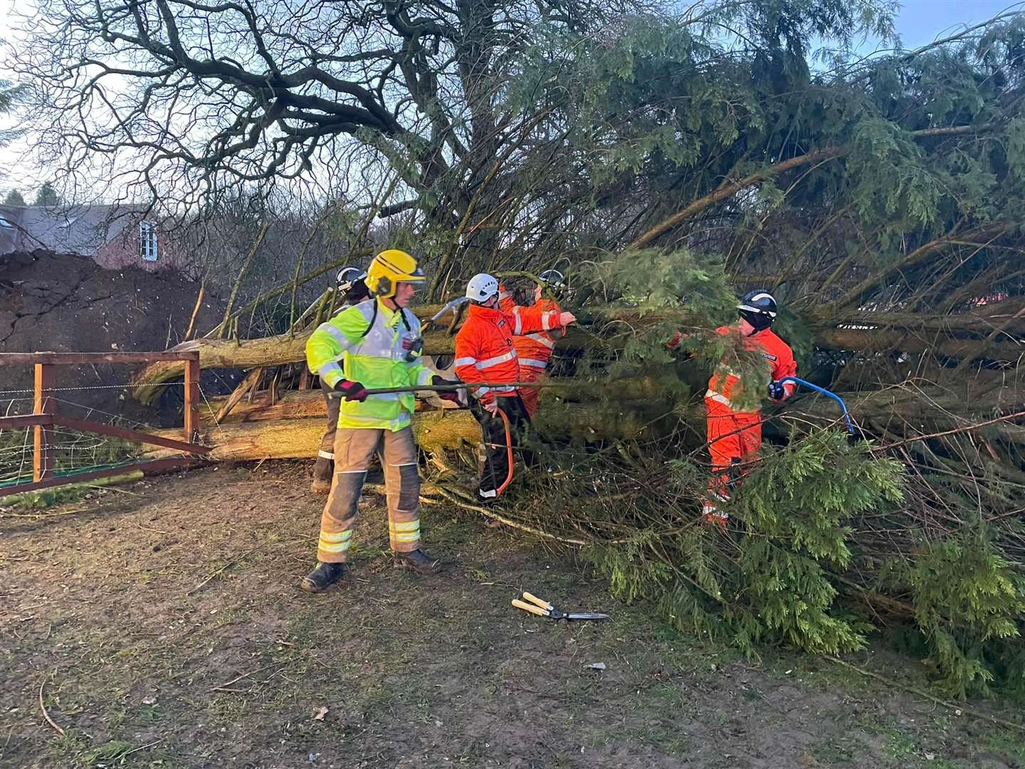 Firefighters work to free Cintia
