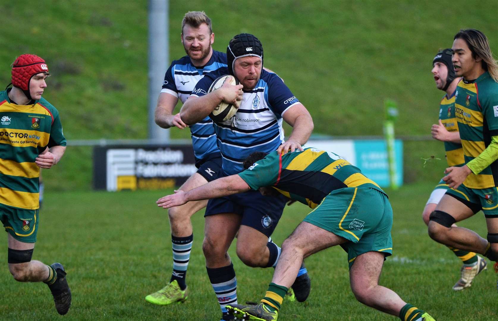 Stags show their strength