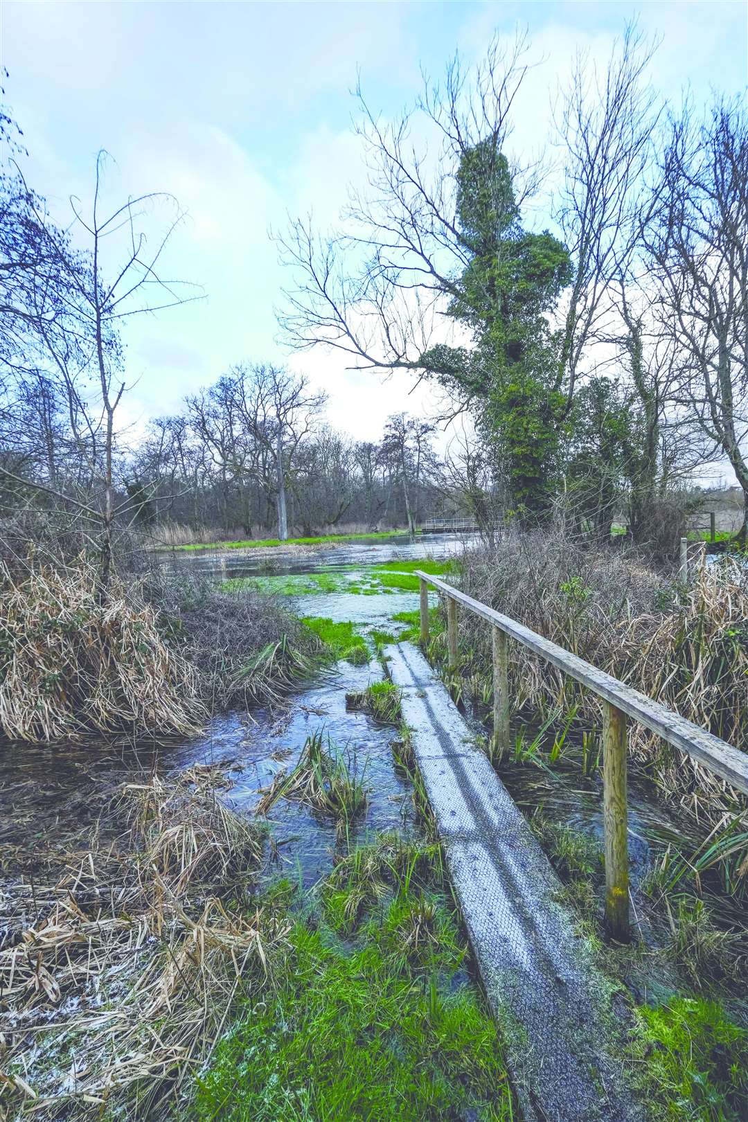 Many repairs are carried out over winter along the River Kennet at Barton Court