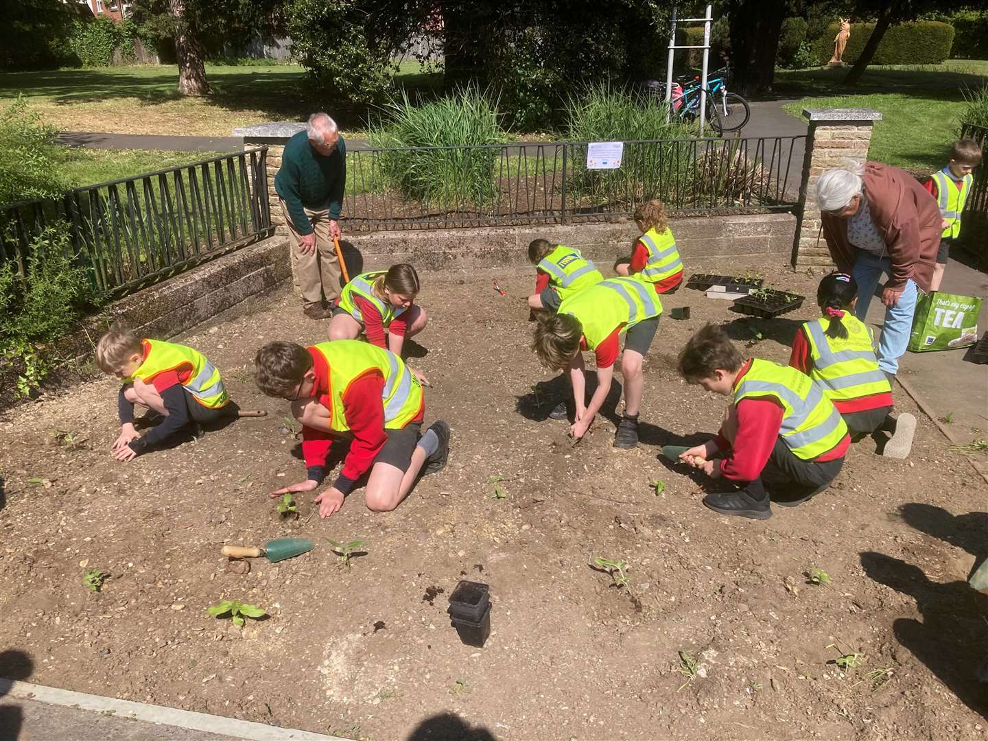 Falkland pupils planting the seeds in a new bed at Greenham House Gardens