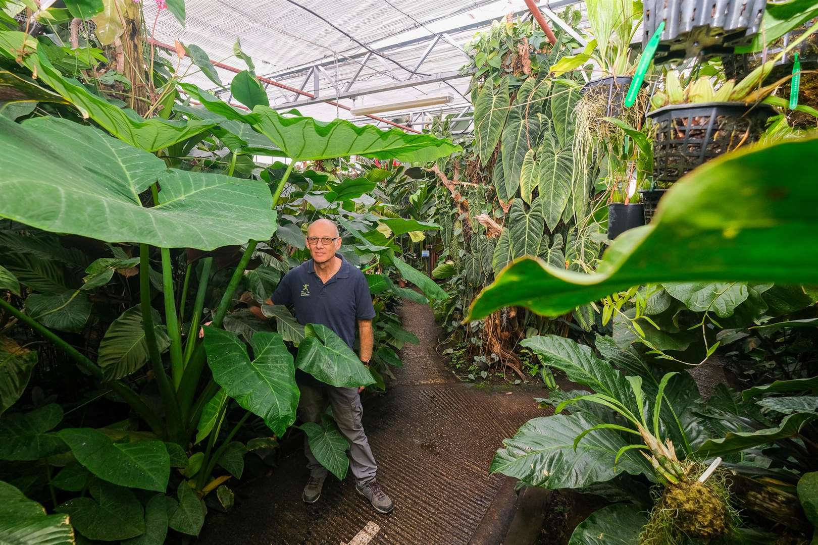 Living rainforest in Hampstead Norreys featuring Peter Clark