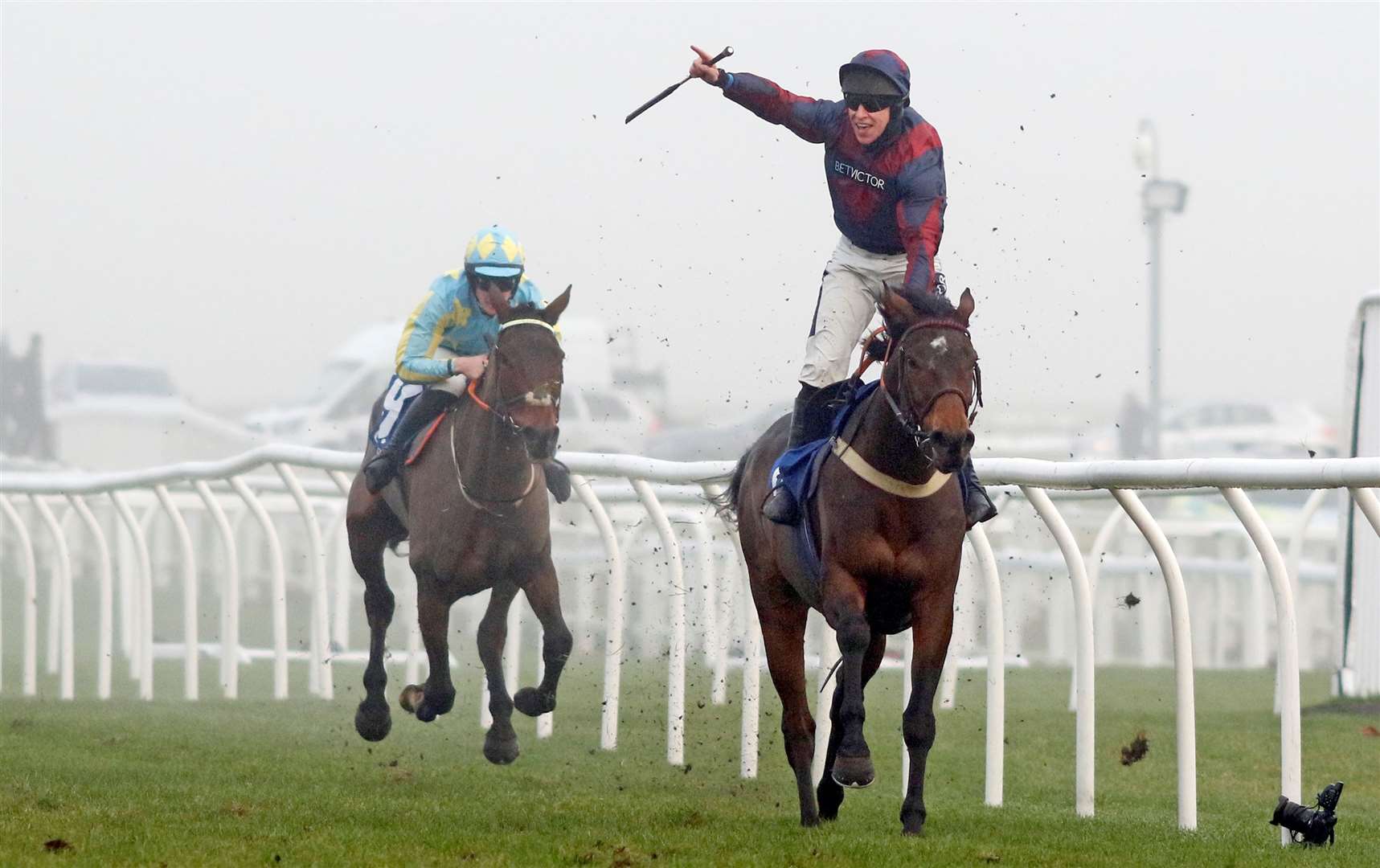 Datsalrightgino won Newbury’s Coral Gold Cup last month. Picture by Steven Cargill