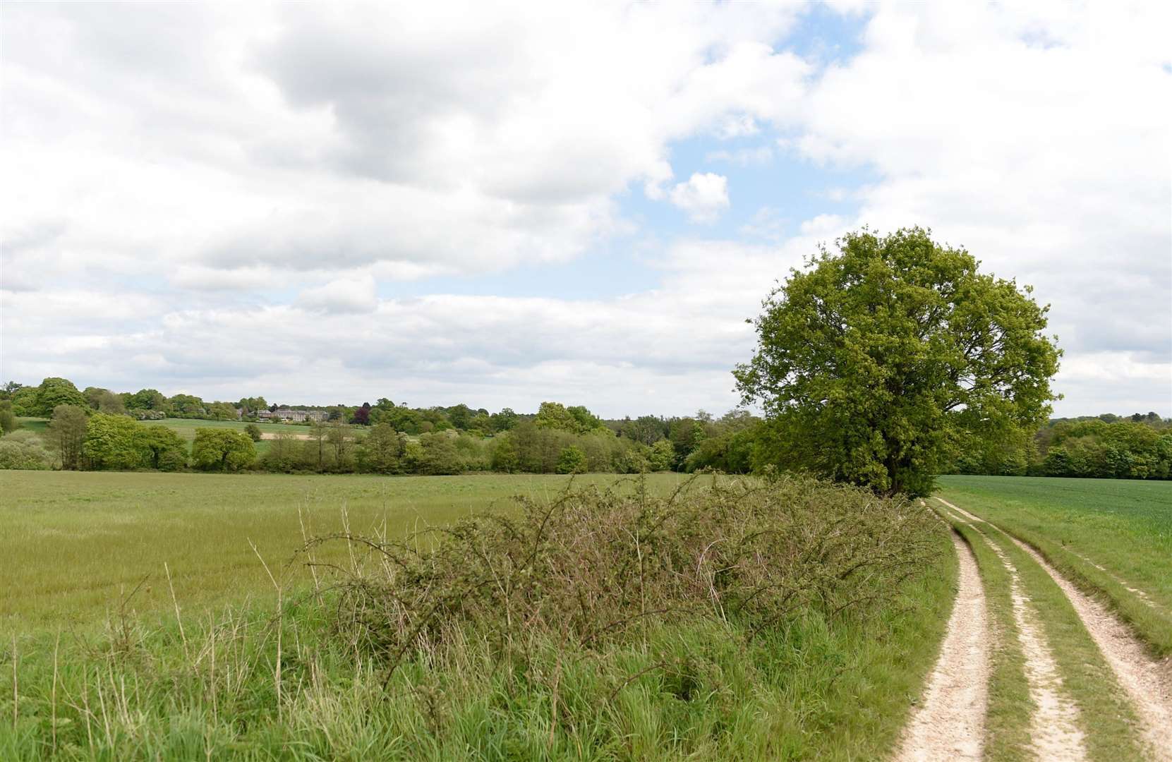 The proposed site at Sandleford (47813449)