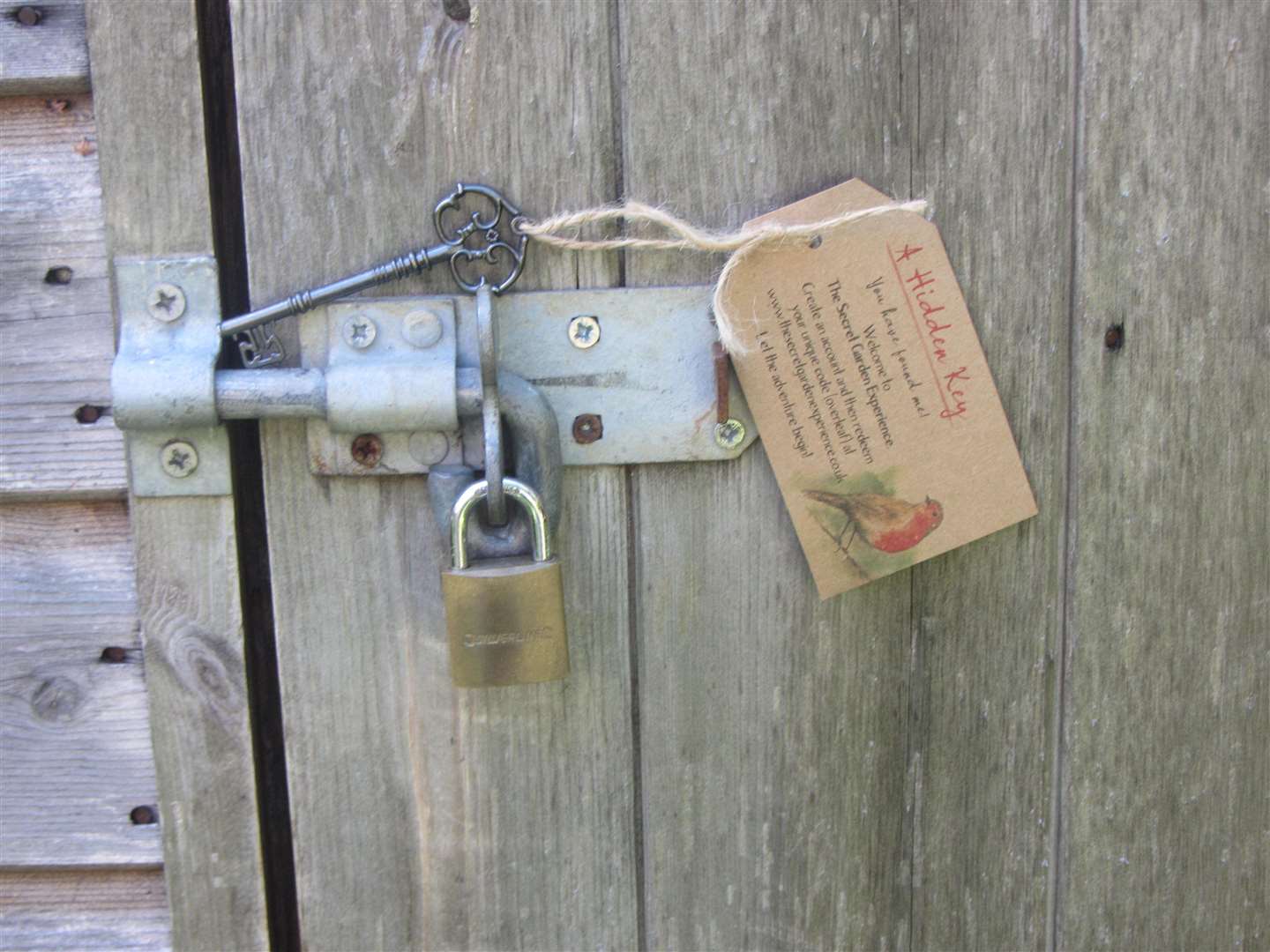 Jon Lewis' Secret Garden experience