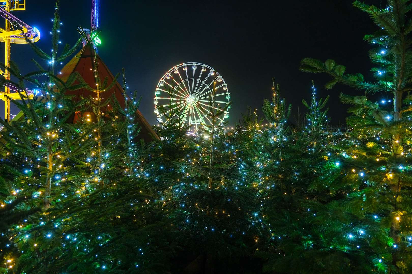 The Great Chrsitmas Carnival. (60950023)