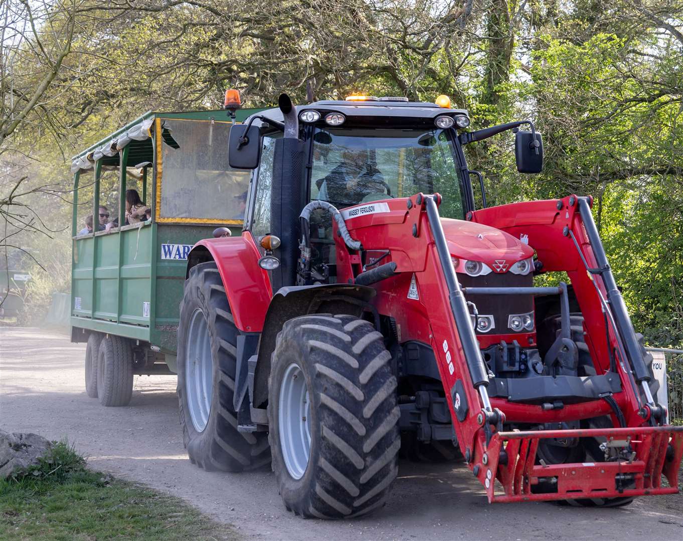Lambing day at Foxglove Farm - Tractor Rides