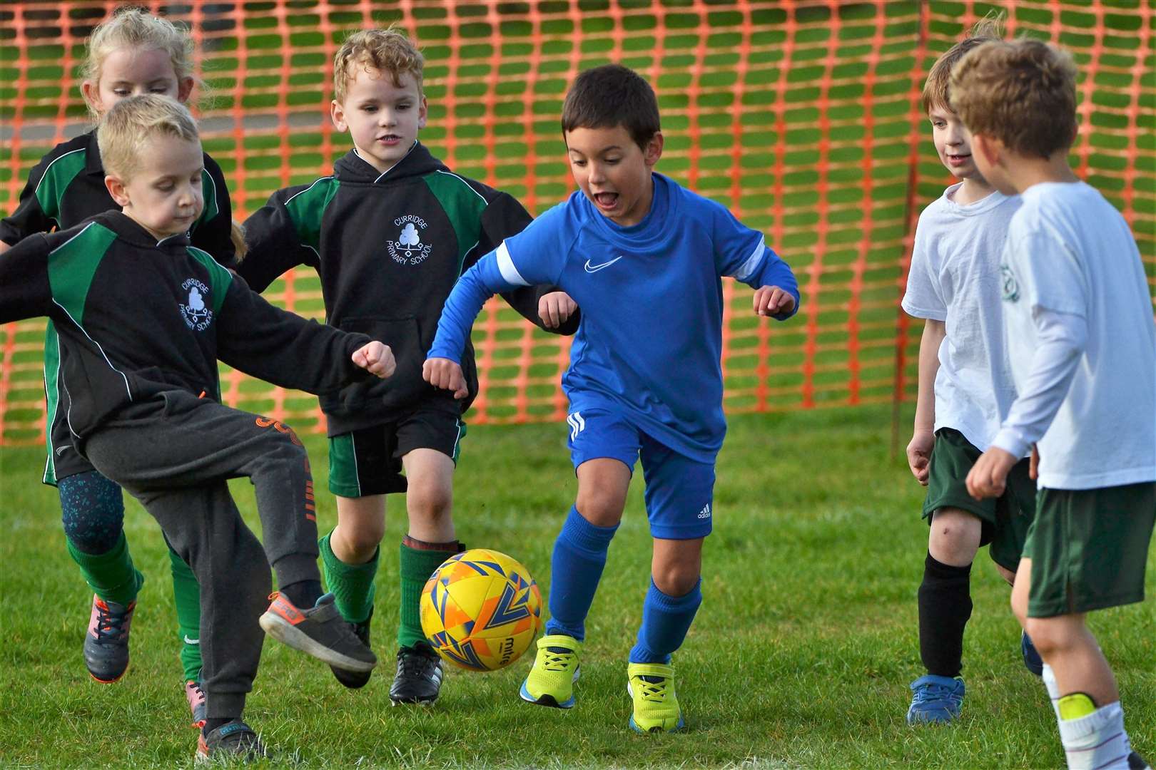 Saint Finians Foxes vs Curridge Falcons. (60038221)