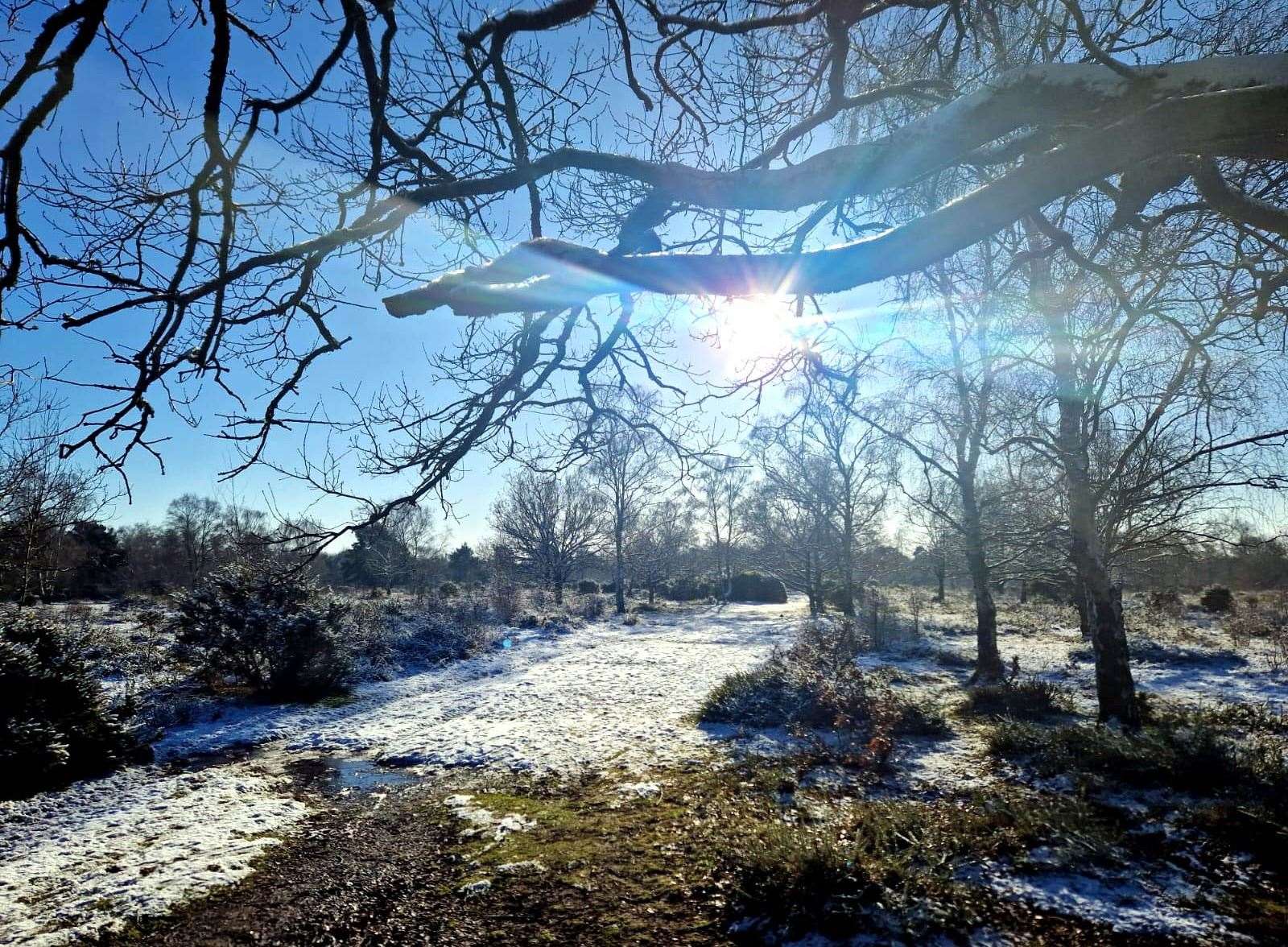 Greenham Common by Phil Cannings