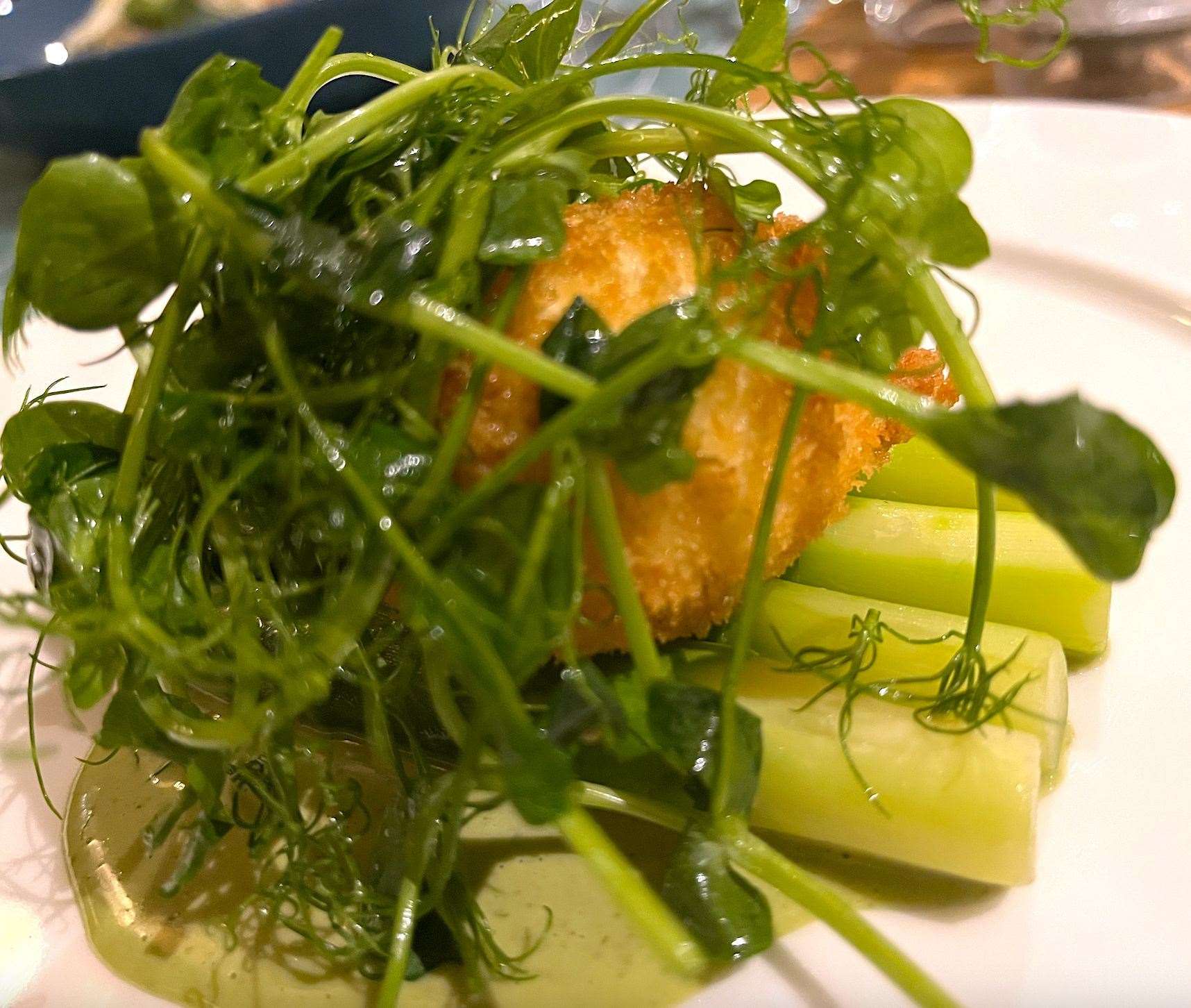 Asparagus and crispy egg