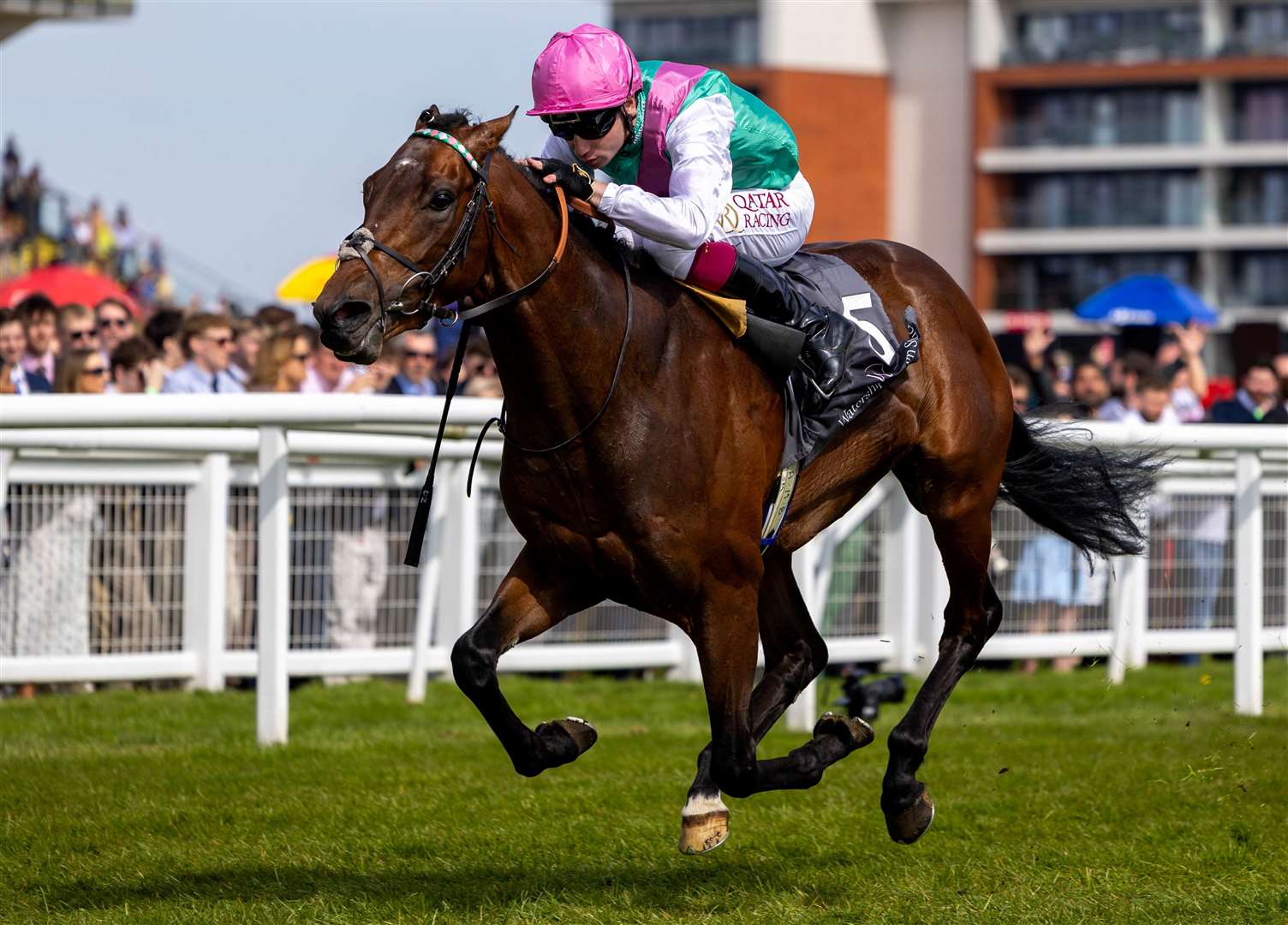 Watership Down Stud Too Darn Hot Greenham Stakes - Jonquil