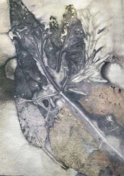 Eco dyed paper